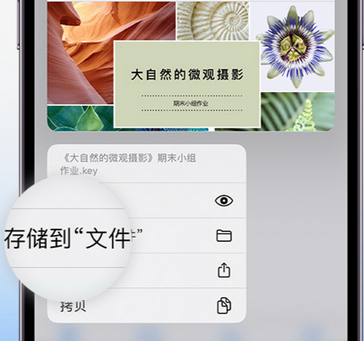 华池apple维修中心分享iPhone文件应用中存储和找到下载文件