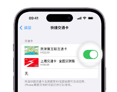 华池apple维修点分享iPhone上更换Apple Pay快捷交通卡手绘卡面 