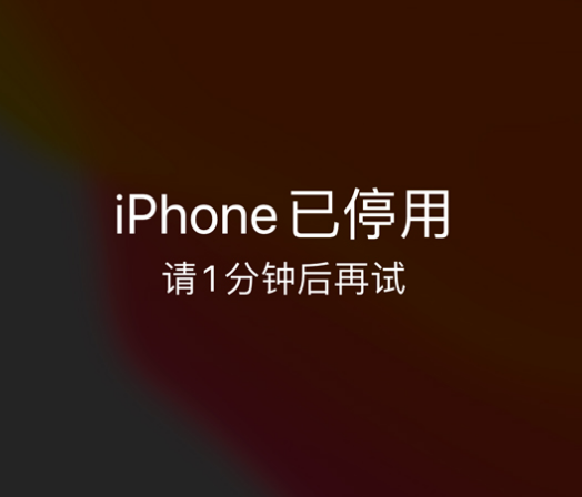 华池苹果手机维修分享:iPhone 显示“不可用”或“已停用”怎么办？还能保留数据吗？ 