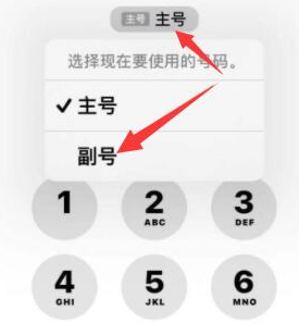 华池苹果14维修店分享iPhone 14 Pro Max使用副卡打电话的方法 