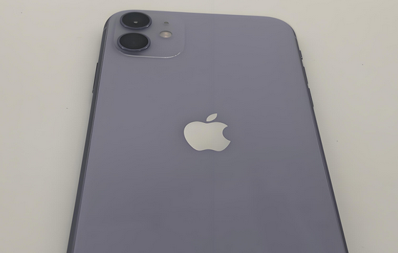 华池苹果11系统维修分享iPhone11手机系统崩溃无法开机如何解决 